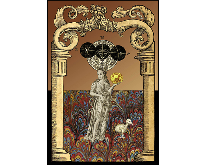 Opalesce Butterfishes